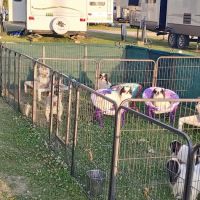 Millbrook Station RV Park ico