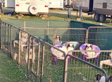 Millbrook Station RV Park