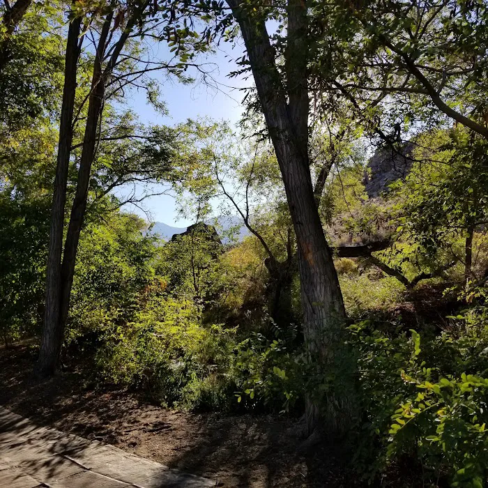 Baker Creek Campground Picture 9