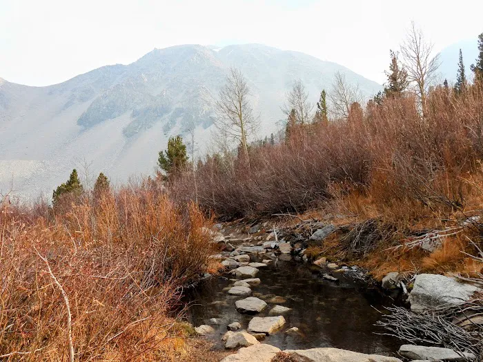 Big Pine Creek Campground Picture 4