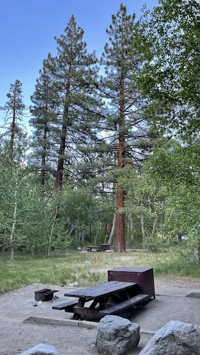 Big Pine Creek Campground Picture 5