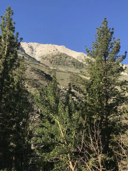 Big Pine Canyon Group Camp Site Picture 6