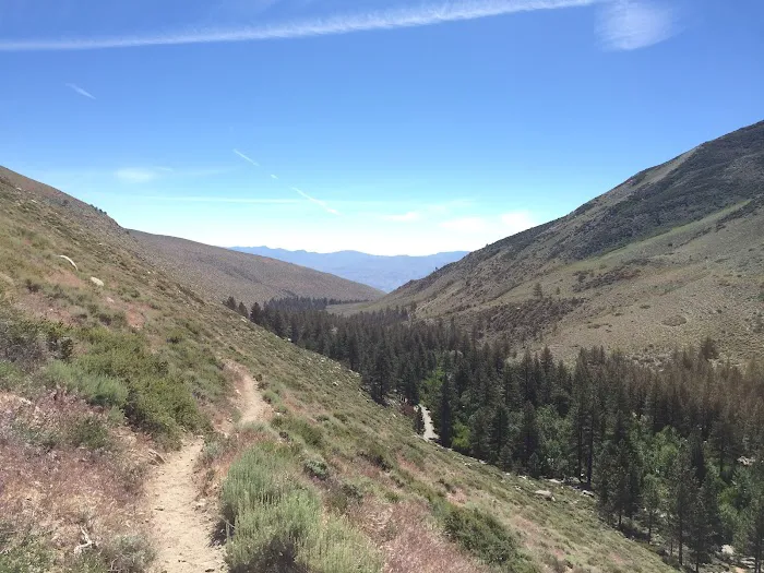 Big Pine Canyon Group Camp Site Picture 9