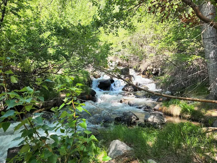 Upper Sage Flat Campground Picture 4