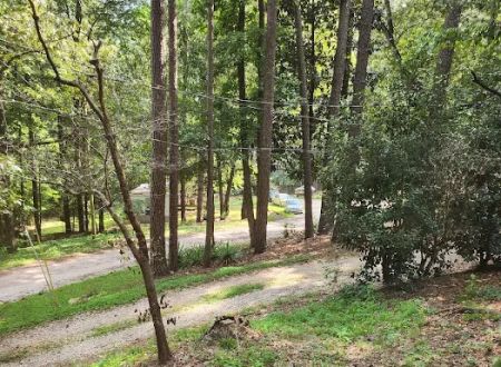 Little Indian Village