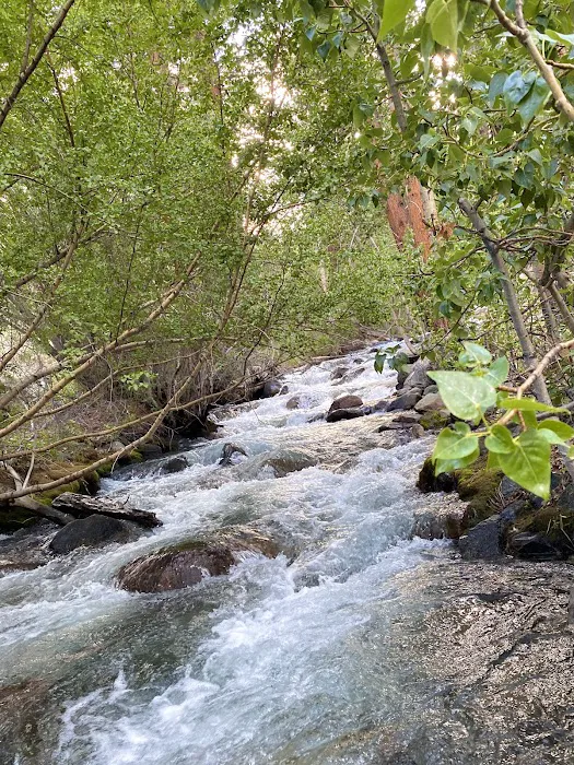 Sage Flat Campground Picture 4