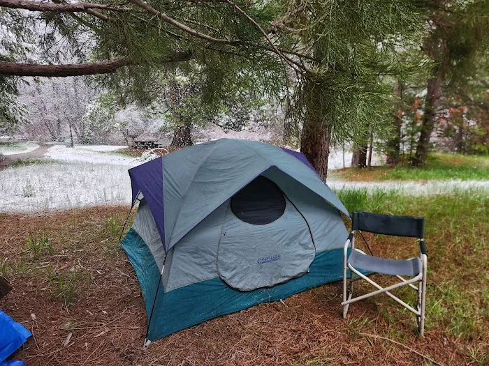 Fraser Flat Campground Picture 7