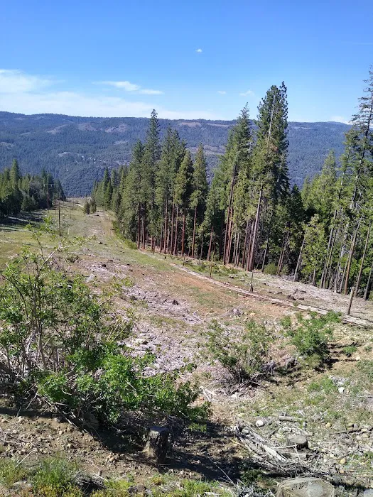 Fraser Flat Campground Picture 6