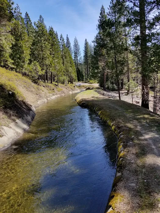 Fraser Flat Campground Picture 8
