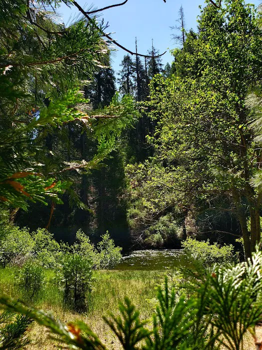 Fraser Flat Campground Picture 3