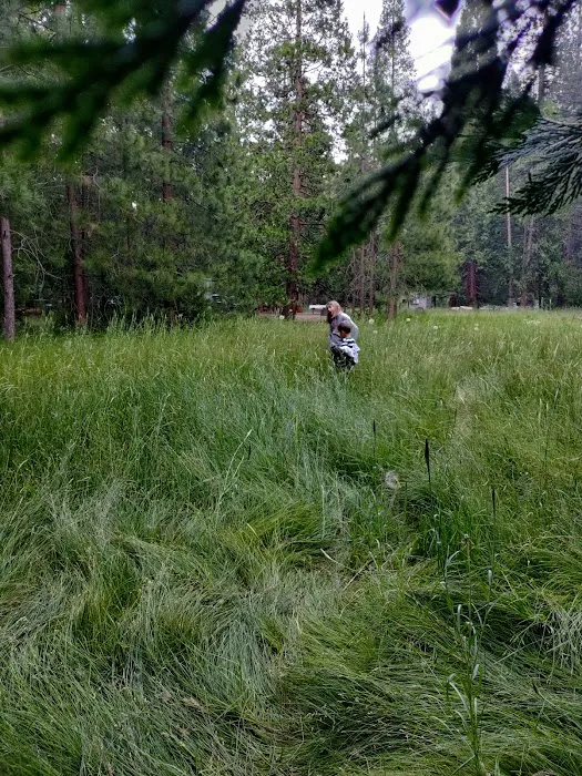 Fraser Flat Campground Picture 9