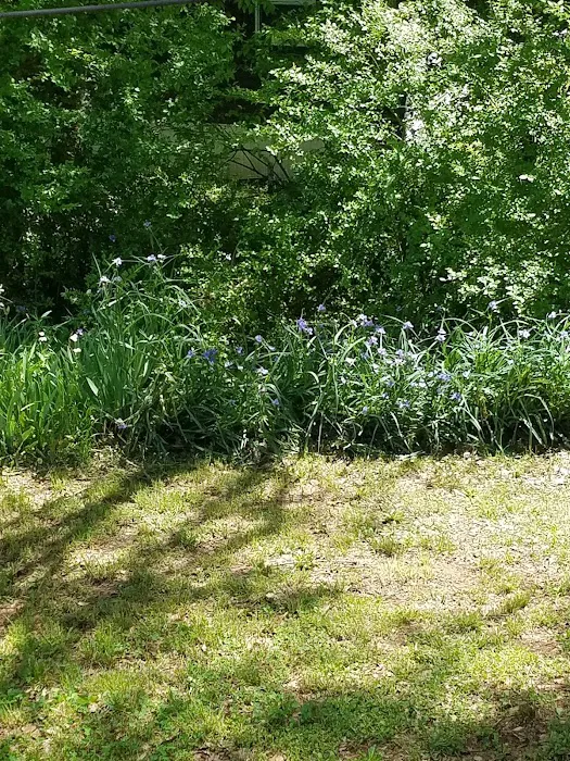 Longmeadow Mobile Home Community Picture 7