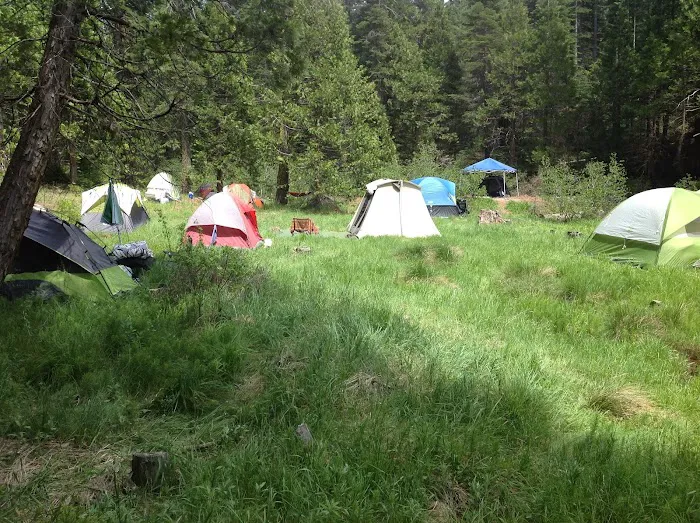 Lair of the Golden Bear - Camp Blue Picture 3