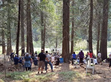 Lair of the Golden Bear - Camp Blue