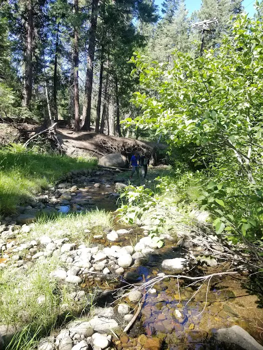 Lair of the Golden Bear - Camp Gold Picture 7