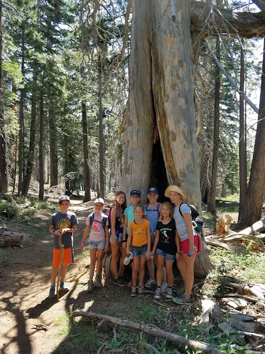 Lair of the Golden Bear - Camp Gold Picture 10