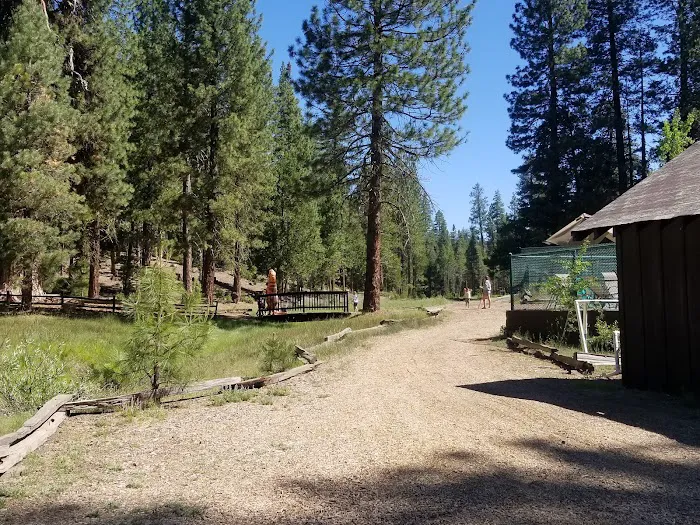 Lair of the Golden Bear - Camp Gold Picture 6
