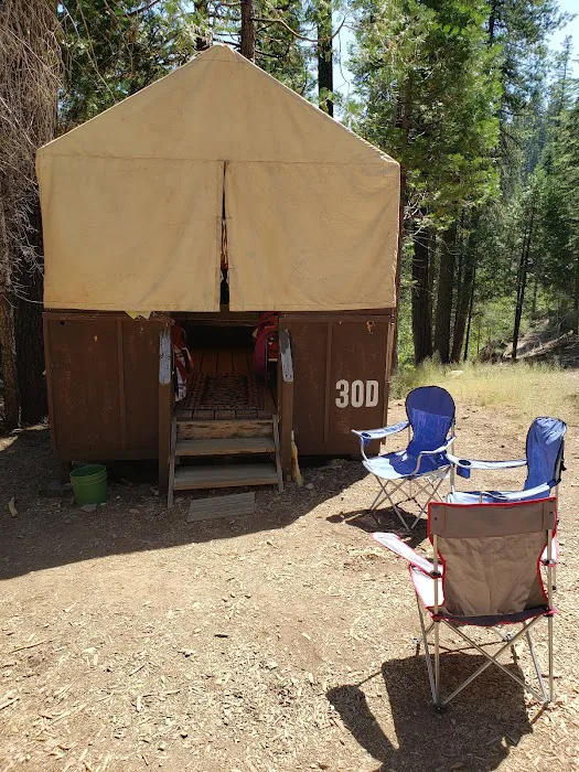 Lair of the Golden Bear - Camp Gold Picture 8