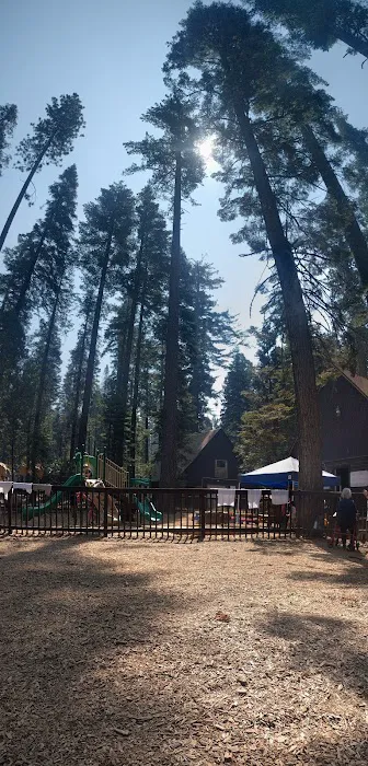 Lair of the Golden Bear - Camp Oski Picture 7