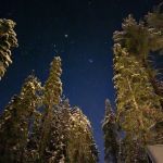 Lair of the Golden Bear - Camp Oski