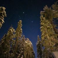 Lair of the Golden Bear - Camp Oski ico