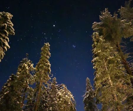 Lair of the Golden Bear - Camp Oski