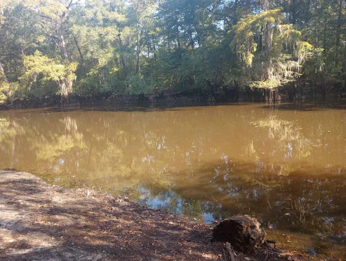 Coleman Lake Campground Picture 7