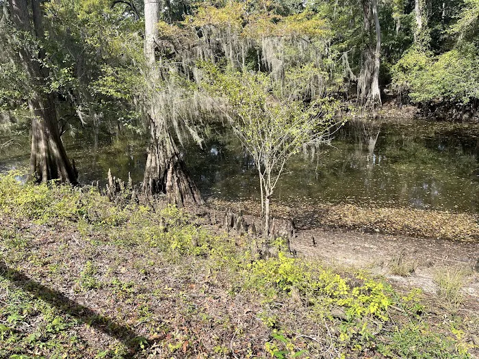 Coleman Lake Campground Picture 1