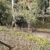 Coleman Lake Campground ico