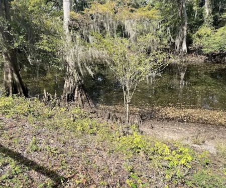Coleman Lake Campground