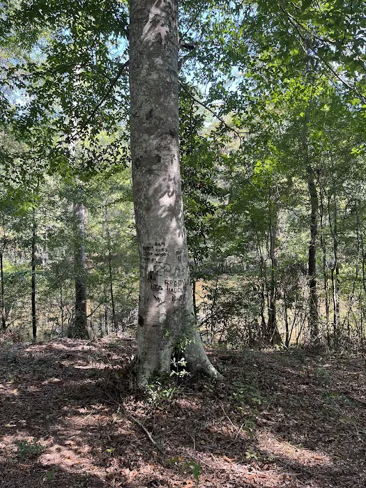Coleman Lake Campground Picture 6