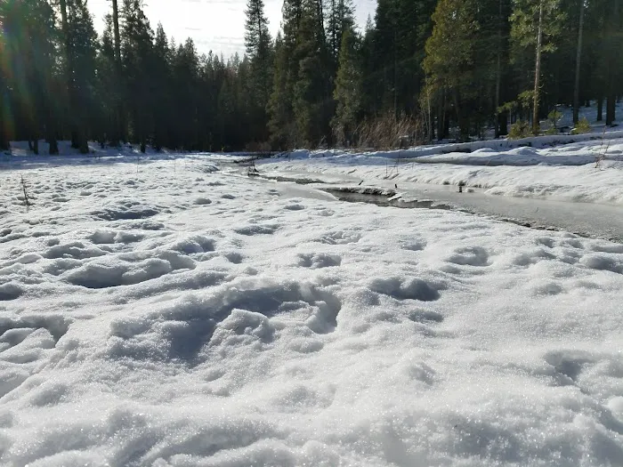 Meadowview Campground Picture 6