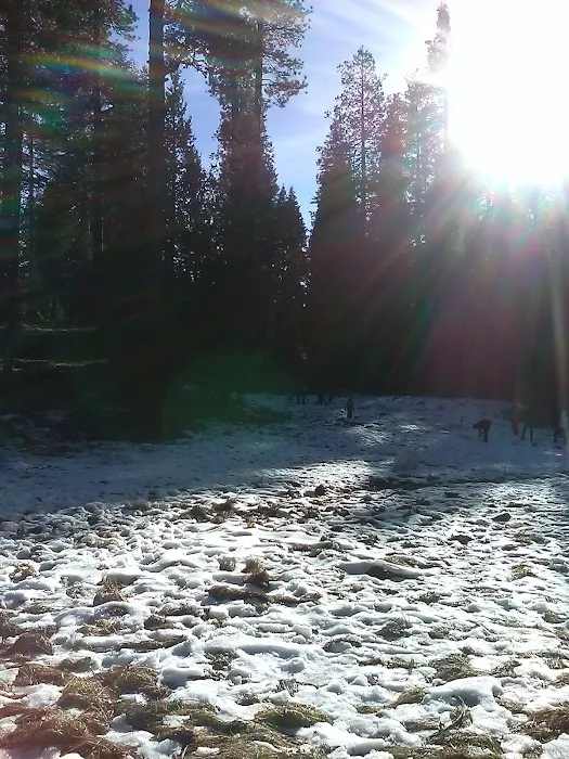 Meadowview Campground Picture 8