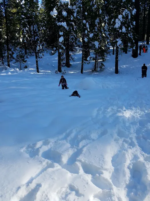 Meadowview Campground Picture 7