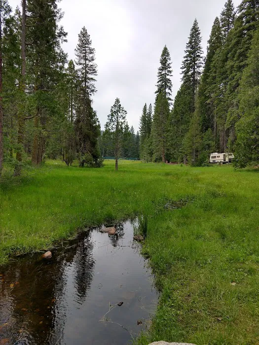 Meadowview Campground Picture 9