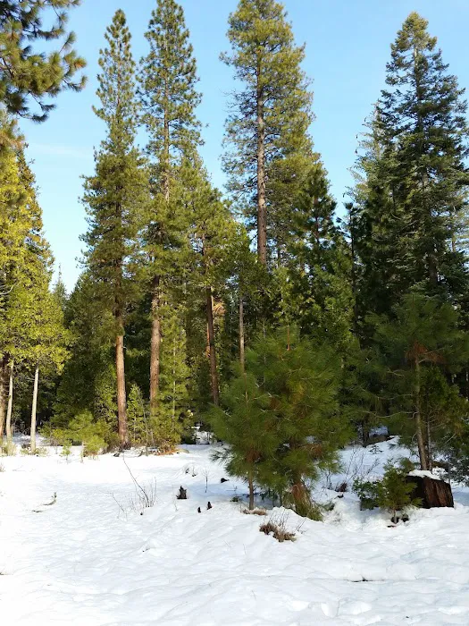 Meadowview Campground Picture 10