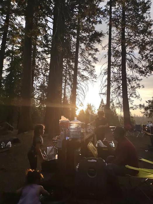 Pioneer Trail Campground Picture 10