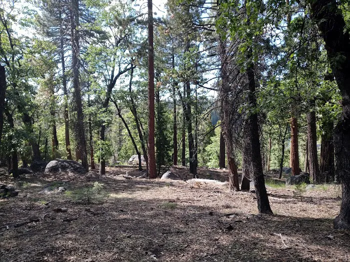 Pioneer Trail Campground Picture 9