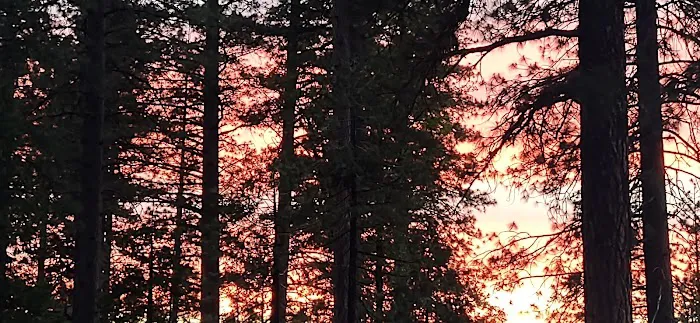 TeleLi puLaya (Black Oak) Campground Picture 6