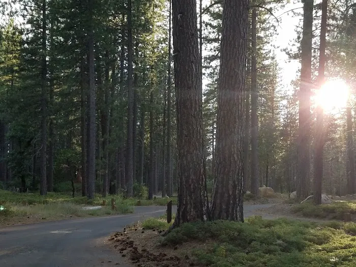 TeleLi puLaya (Black Oak) Campground Picture 1