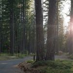 TeleLi puLaya (Black Oak) Campground