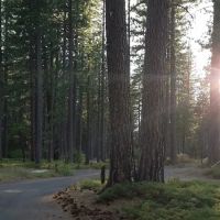 TeleLi puLaya (Black Oak) Campground ico