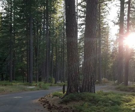 TeleLi puLaya (Black Oak) Campground