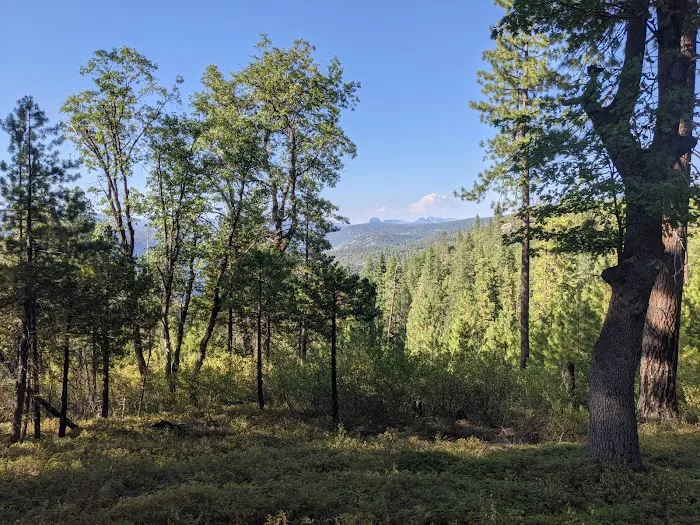 TeleLi puLaya (Black Oak) Campground Picture 8
