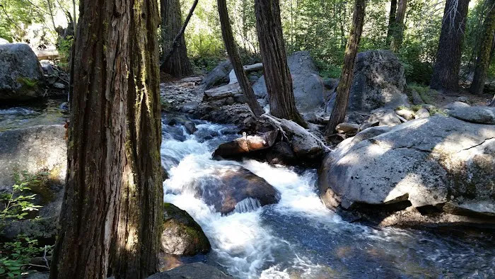 Pinecrest Campground Picture 5