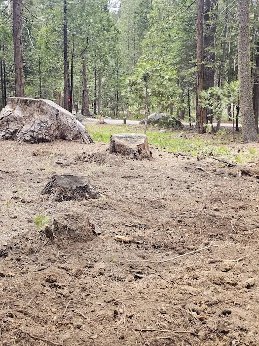 Pinecrest Campground Picture 8
