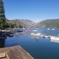 Pinecrest Campground ico