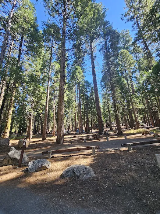 Pinecrest Campground Picture 7