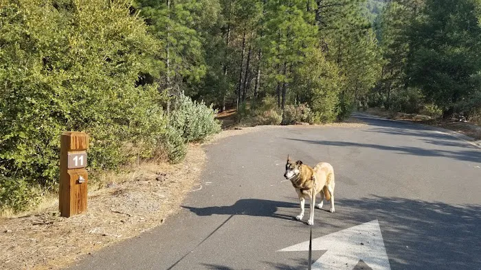 Beardsley Dam Campground Picture 5