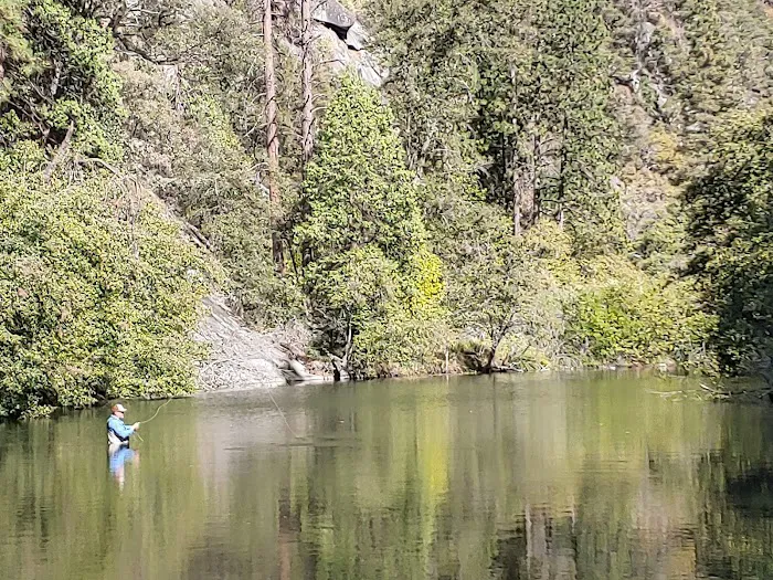 Sand Bar Flat Campground Picture 9